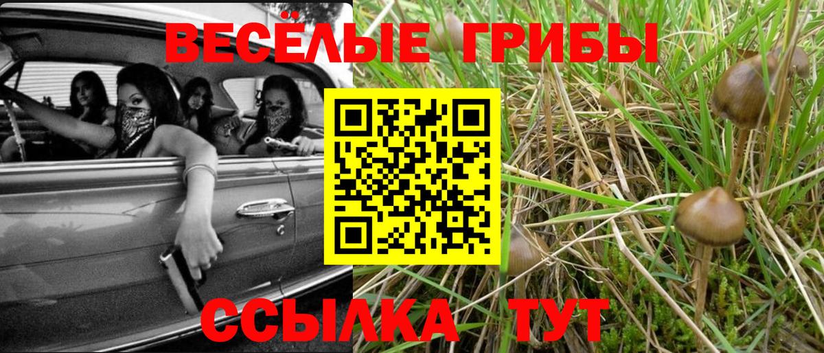 Ипатово  Галлюциногенные грибы Magic Shrooms  Вход с VPN 