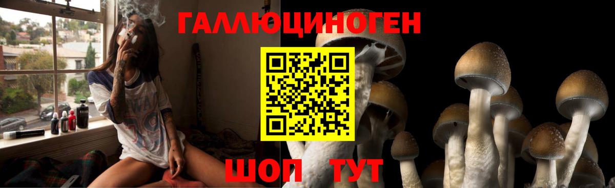 Галлюциногенные грибы Psilocybine cubensis Ипатово